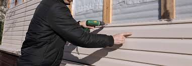 Best Vinyl Siding Installation  in Redby, MN